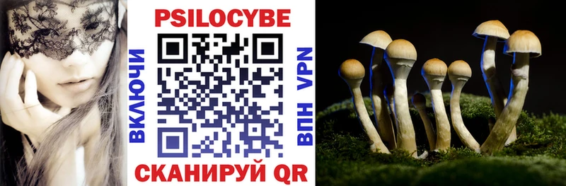 Купить где  Назарово  Псилоцибиновые грибы мицелий 
